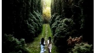 Дивная ,волнующая аллея.