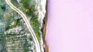 Розовое озеро. Украина.