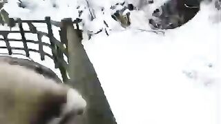 Кот с камерой