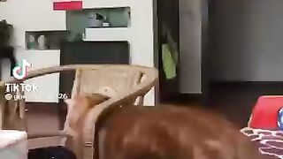 Я застрял