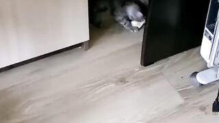 Сам играю сам пугаюсь