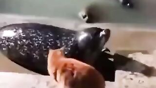Фильтруй базар.