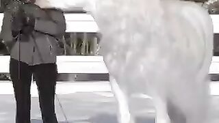 Белоснежная красота.