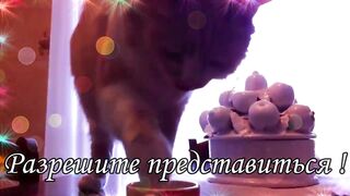 С ДОБРЫМ УТРОМ 13 Февраля ! Желаю Самого Доброго Солнечного Утра!