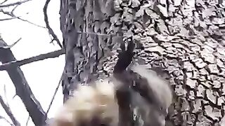 Это все потому что кто-то слишком много ест!))