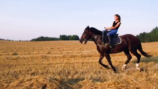 Красивая езда на лошади