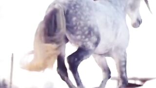Лошади 2