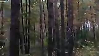Конные прогулки в лесу