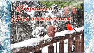 ХОРОШЕГО ВОСКРЕСЕНЬЯ ????Доброе утро!