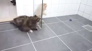 Что это