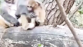 Мама сказала нельзя
