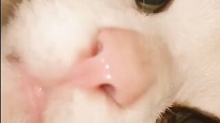 АЛЛО ДРУЗЬЯ КАК ЖИЗНЬ?