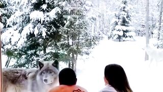 Доброе утро друзья мои , у кого то оно возможно стильное с волками.