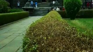 Храм Хойсалевара , индуистский храм 12 в. , посвящен Шиве.