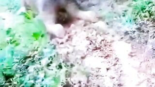 С Днем Святого Валентина дорогие мои и веселого Вам дня.