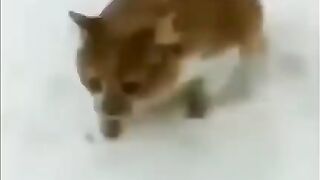 Давай играть