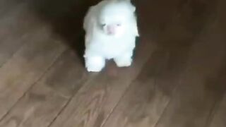 Меня плющит