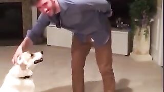 Прикольные Видео Короткие про Животных_ Смешные Видео с Котиками