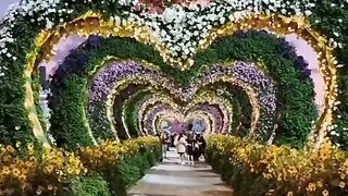 Happy Valentine's Day.