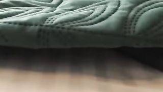 Funny Cute Cats in the blanket| New animal funny video 2023