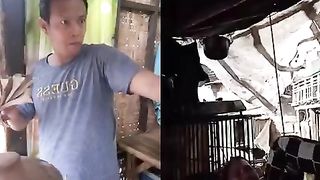 Funny video compliation