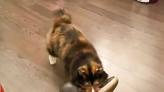 Mom, let's go for a walk.