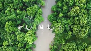 Forest green day