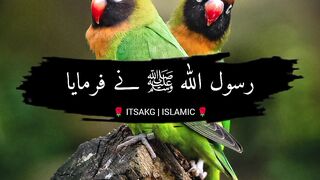 Hadees Mishkat Shareef ????| Hadees of Mishkat Shareef 32