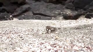 Never Give Up