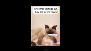 Funny ????????????????
