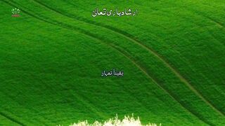 Urdu Quran || Muhammad_Arsal