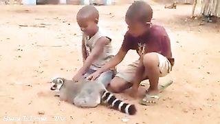 Cute bays