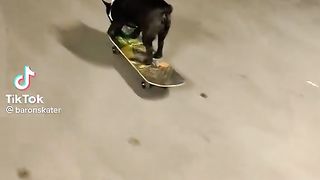 it's fun, it's very difficult to quit.