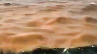 Surah Rahman beautiful crying voice