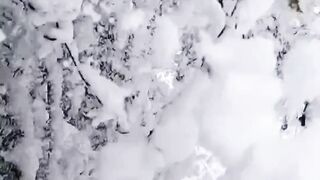 Dhanaulti snowfall Dhanaulti 2023