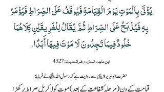 Islamic_video