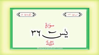 Surah Ya Sin  with audio Urdu Hindi translation Qari Syed Sadaqat Ali