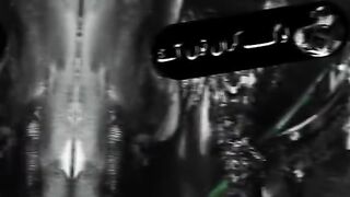 e22be0e371d91e7ef981beba3dee40b1.