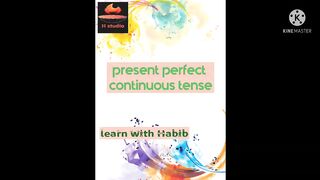 Present perfect contineous tense