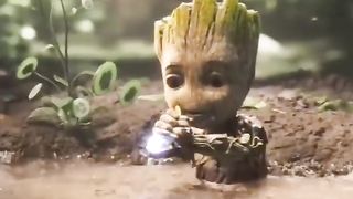 Groot status