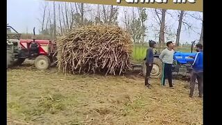 Farmer life