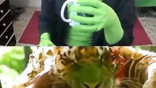 Mr green