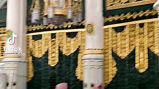 Roza e rasool saw