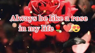 Happy Rose Day