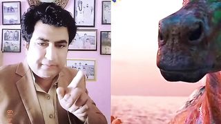 SEAHORSE RIDE