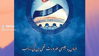 Jahan ye jasi zarorat thi ban gai Zainab(S.A)