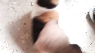 love with Cat ????