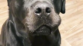 she hid something in her mouth again.