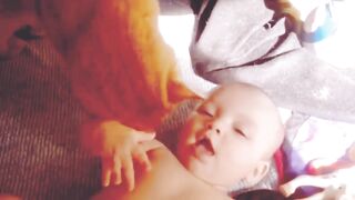 Cute babies and funny animmals chemistry