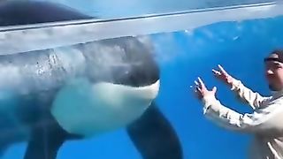 Amazing video tik tok viral